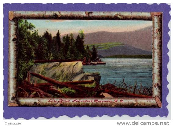 Birch Bark Boarder Lake Placid, NY  1910s - Adirondack