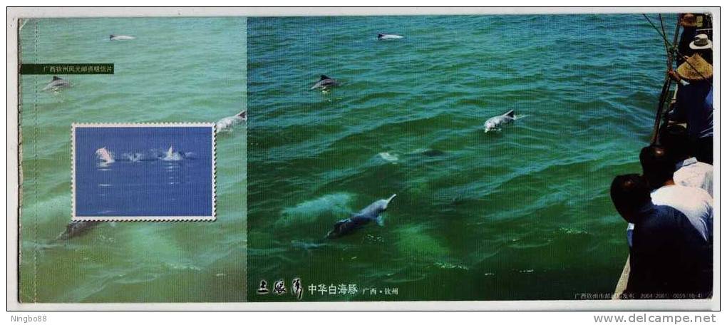 China 2004 Sanniang Bay Chinese White Dolphin Postal Stationery Card Dolphin Watching - Dolphins