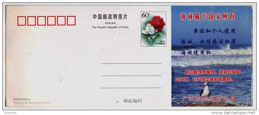 China 2004 Sanniang Bay Chinese White Dolphin Postal Stationery Card Dolphin Watching - Dauphins