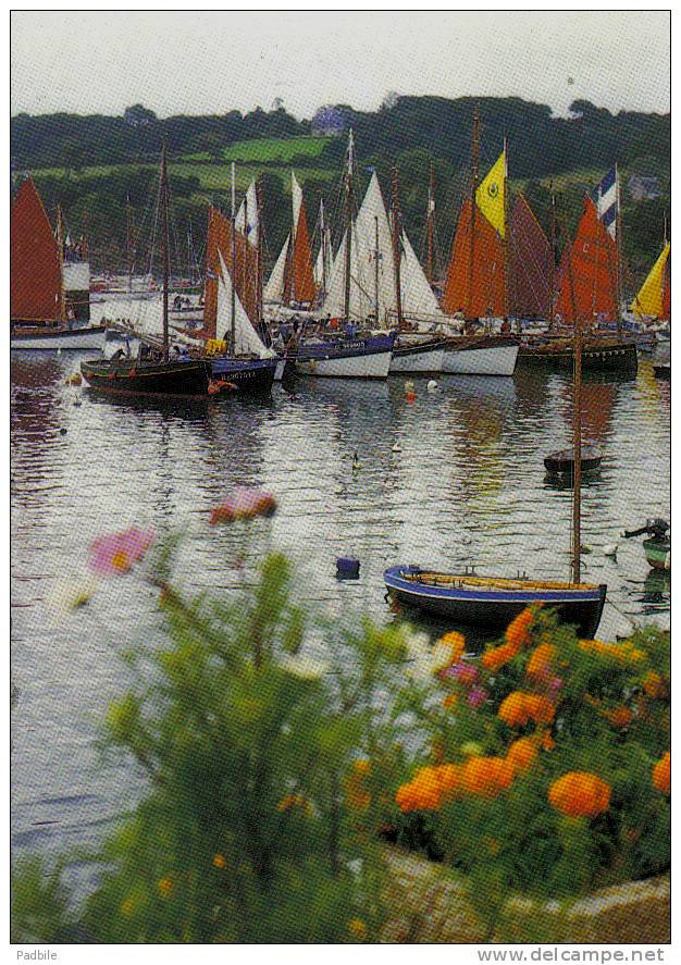 Carte Postale 29. Douarnenez   Trés Beau Plan - Douarnenez