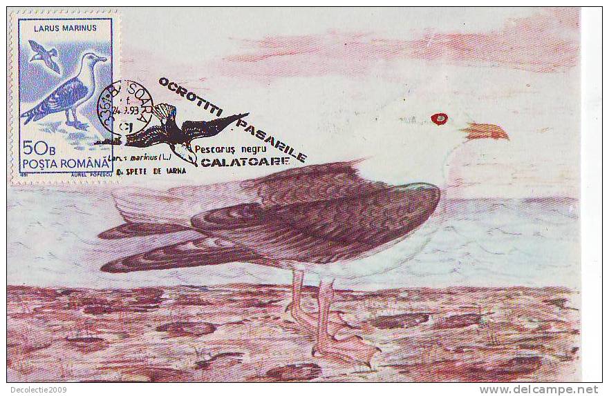 M28 Maximum Card Cartes Maximum Romania Birds Oiseaux Larus Marinus Seagull - Rebhühner & Wachteln
