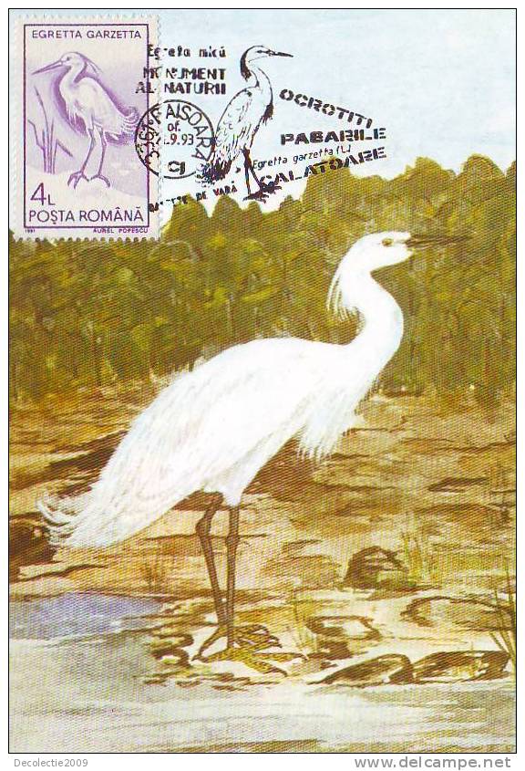 M33 Maximum Card Cartes Maximum Romania Birds Oiseaux Egretta Garzetta - Rebhühner & Wachteln