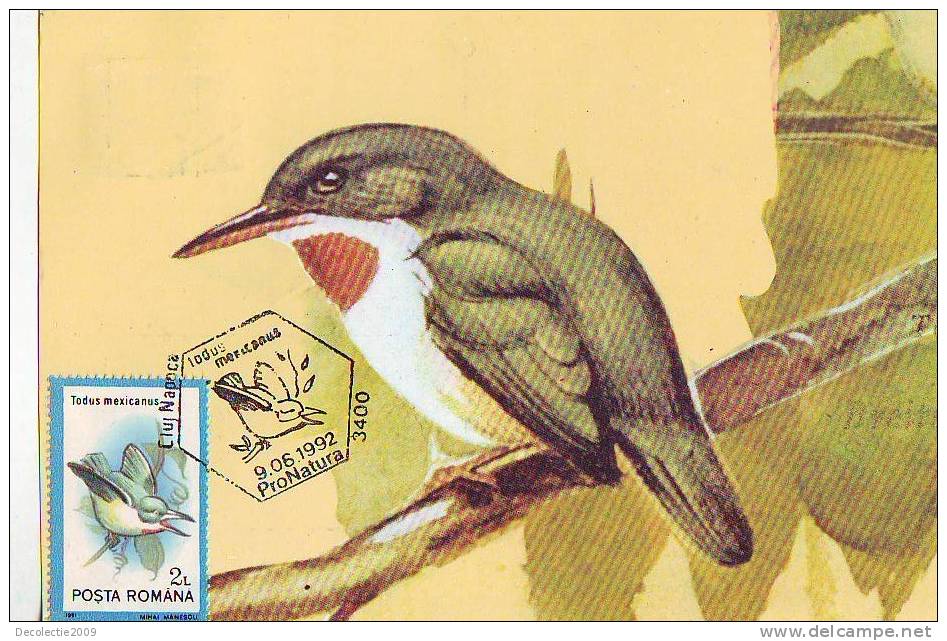 M52 Maximum Card Cartes Maximum Romania Birds Oiseaux Todus Mexicanus - Grey Partridge