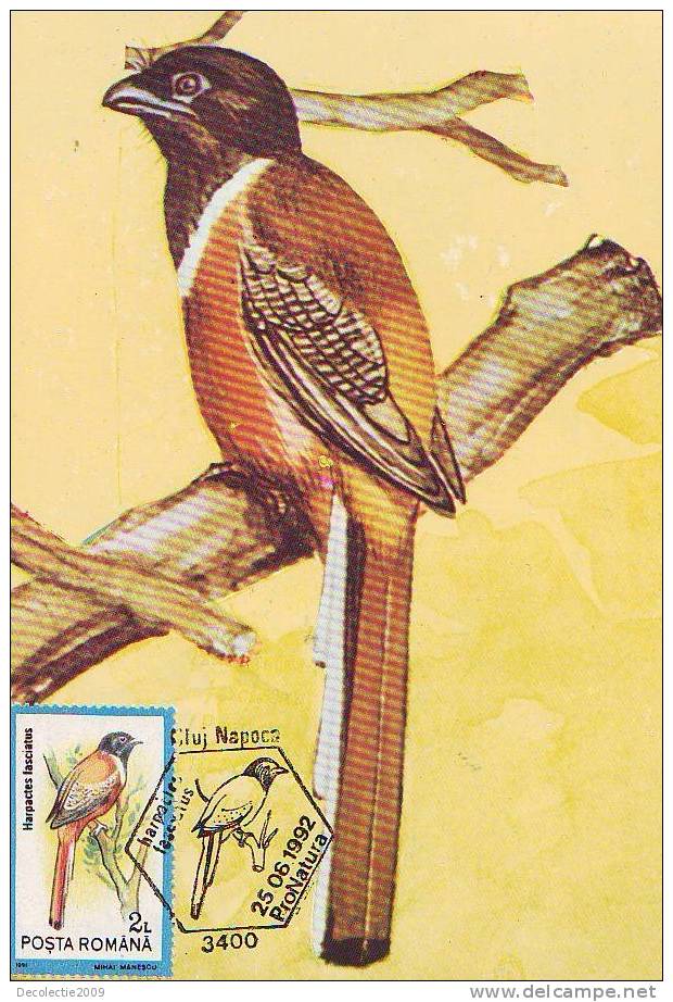 M63 Maximum Card Cartes Maximum Romania Oiseaux Birds Harpactes Fasciatus - Hummingbirds