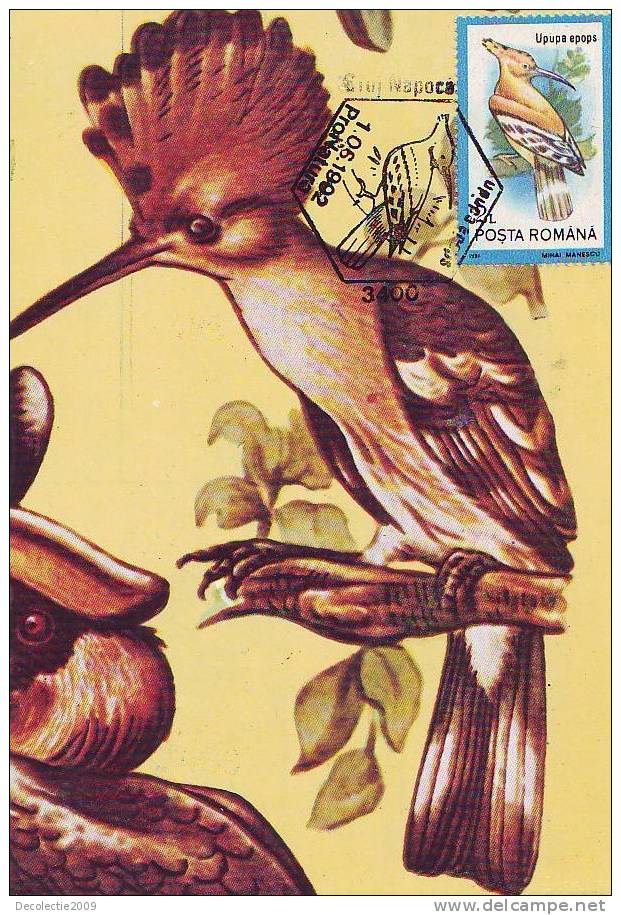 M61 Maximum Card Cartes Maximum Romania Oiseaux Birds Upupa Epops - Colibrì