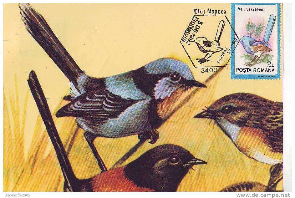 M57 Maximum Card Cartes Maximum Romania Birds Malurus Cyaneus - Gallinacées & Faisans