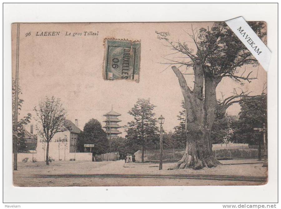 Cpa -  LAEKEN : Le Gros Tilleul Et Tour Chinoise  1906 ( Grand Jardin Café Du Tilleul ) Animée - Laeken