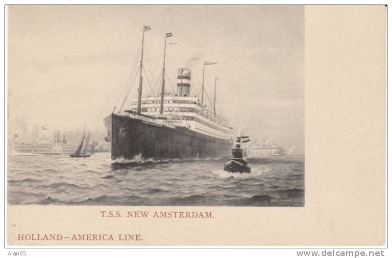 TSS New Amsterdam Holland America Line Cruise Ship On C1900s Vintage Postcard - Dampfer