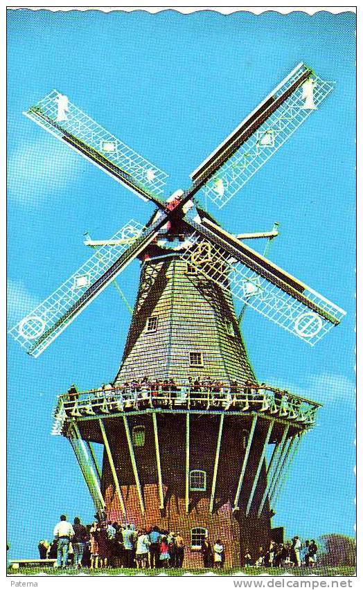 Molino De Viento De ZWAAN HOLLAND, ( Michigan)  , Duth, Post Card - Molinos De Viento