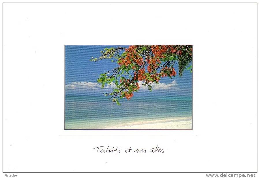 Polynésie Française - Tahiti Plage Beach - Neuve Impeccable - Aquarupella - Tahiti
