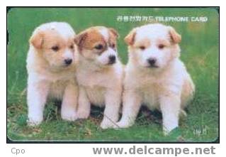 # KOREA MO9807127 Dogs 11000 Autelca 07.98 -dog,chien,animal- Tres Bon Etat - Corée Du Sud