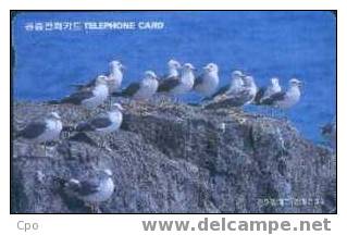# KOREA MO9801101 Seagulls 2000 Autelca 01.98  -oiseaux,birds- Tres Bon Etat - Corée Du Sud