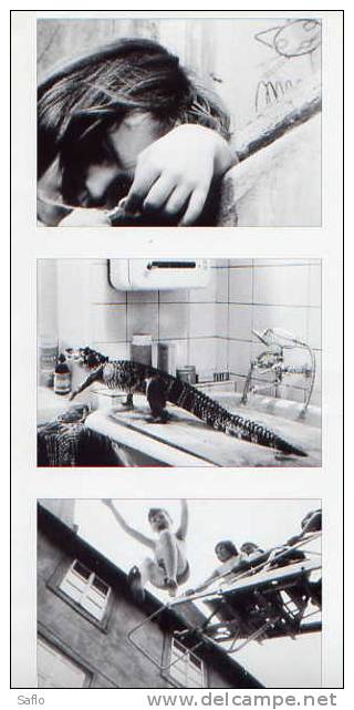 Katia Et Le Crocodile De Vera Simkova Et Jan Kucera (1966)  : Livret Explicatif Plus Carte Photos - Autres & Non Classés
