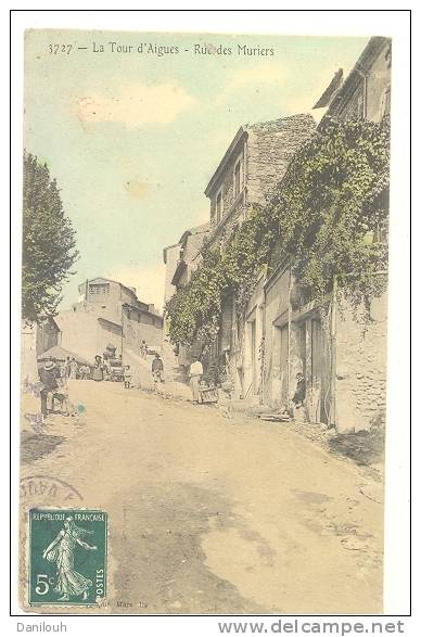 84 // LA TOUR D AIGUES - Rue Des Muriers - Colorisée 3727 ** - La Tour D'Aigues