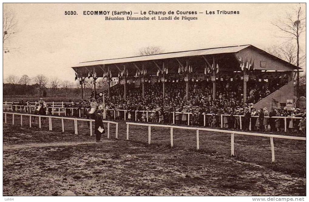 /72/ ECOMMOY LE CHAMP DE COURSES LES TRIBUNES - Ecommoy