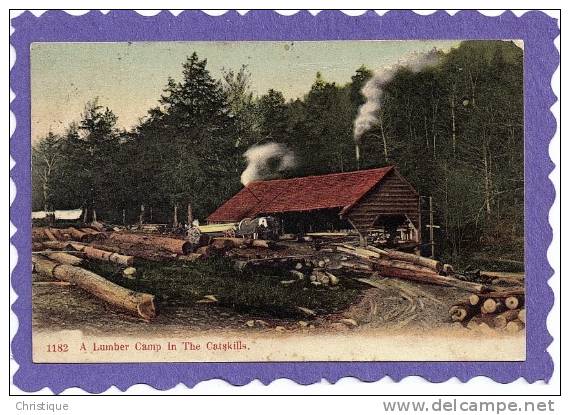 Lumber Camp And Saw Mill In The Catskills, NY  1900s - Catskills