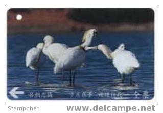 Taiwan Early Bus Ticket Card Black-faced Spoonbill Bird 12-7 (A0054) - Tickets - Vouchers