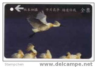 Taiwan Early Bus Ticket Card Black-faced Spoonbill Bird 12-8 (A0055) - Tickets - Vouchers