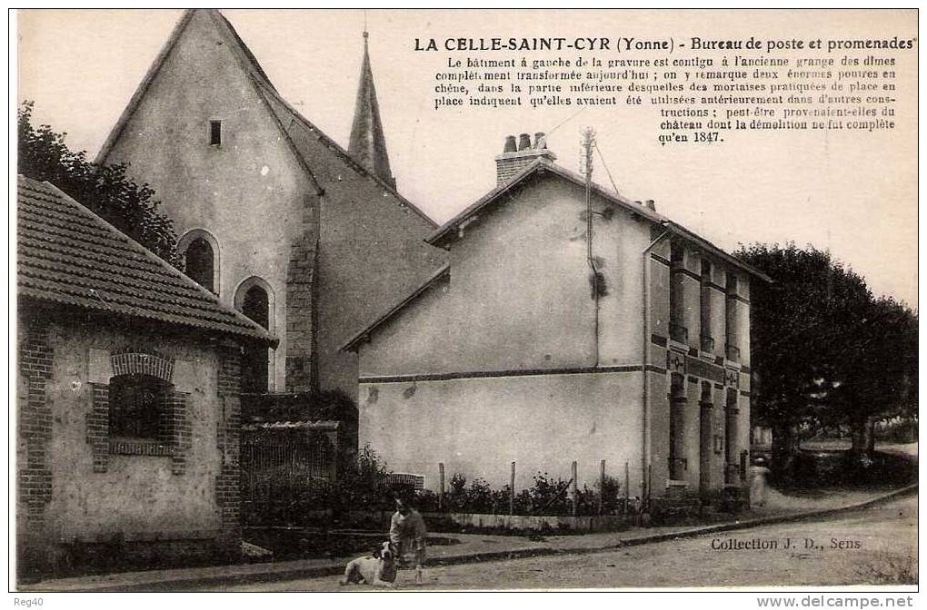 D89 - LA CELLE SAINT CYR  -  Bureau De Poste Et Promenades - L'Isle Sur Serein