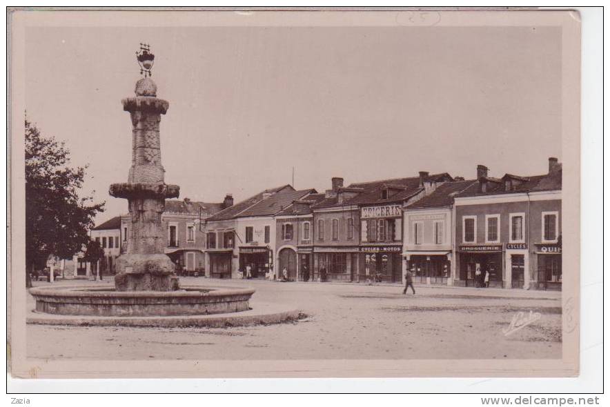 65.114/ RABASTENS DE BIGORRE - Place Centrale (cpsm N°4) - Rabastens De Bigorre