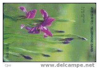# KOREA MO9704109 Blood Red Iris 2000 Autelca 04.97  -flowers,fleurs- Tres Bon Etat - Corée Du Sud