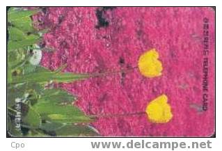 # KOREA MO9610138 Tulip 2000 Autelca 10.96  -flowers,fleurs- Tres Bon Etat - Corée Du Sud