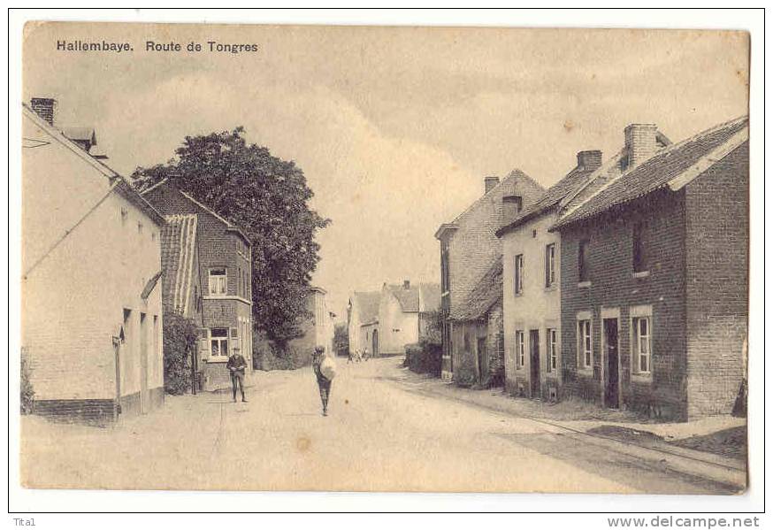 11542 - HALLEMBAYE - Route De Tongres - Oupeye