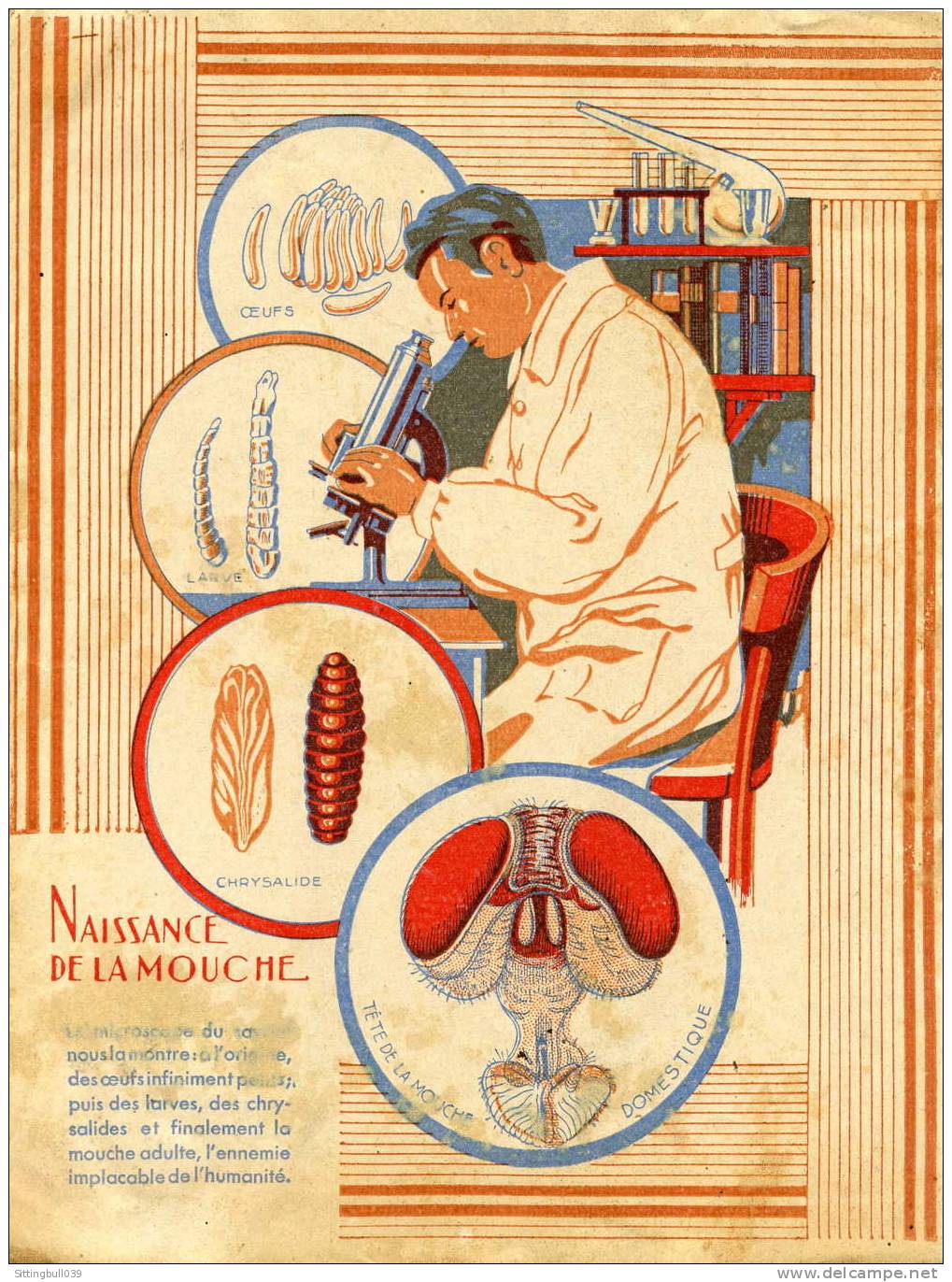 PROTÈGE-CAHIER PUB AEROXON, L'ATTRAPE-MOUCHES.  BELLE ILLUSTRATION. SD. ANNEES 50 / 55 - Omslagen Van Boeken