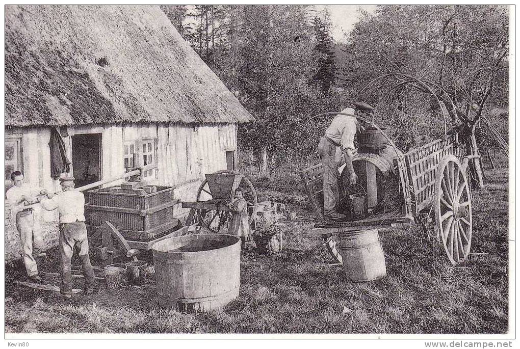 NORMANDIE Fabrication Du Cidre Cpa Animée Réédition - Haute-Normandie