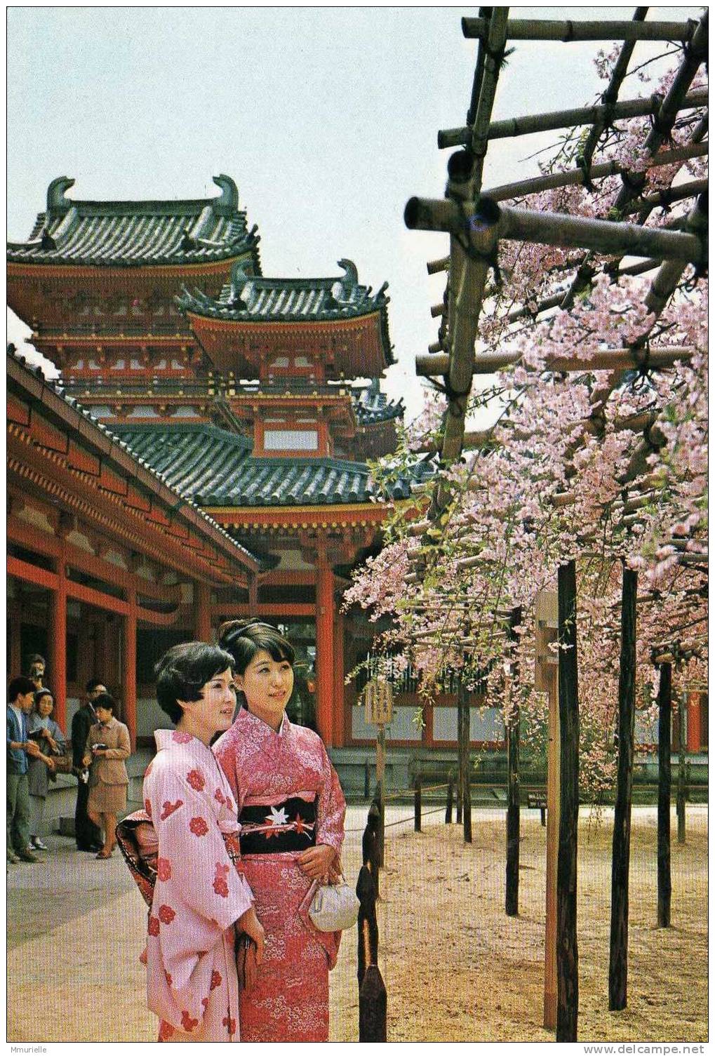 JAPON-KYOTO Chery Blossoms At The Inner Court Of The Heian Shrine-MB - Kyoto