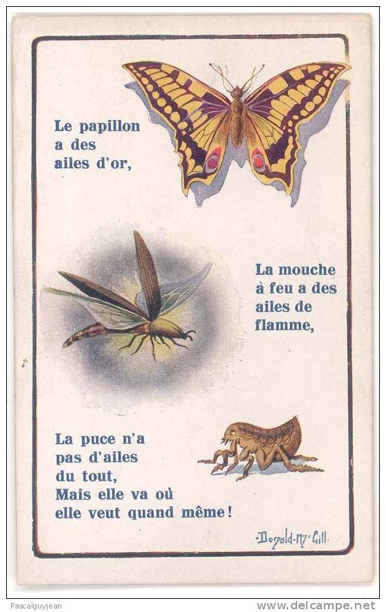 CPA DONALD MC GILL - PAPILLON, MOUCHE ET PUCE - Mc Gill, Donald