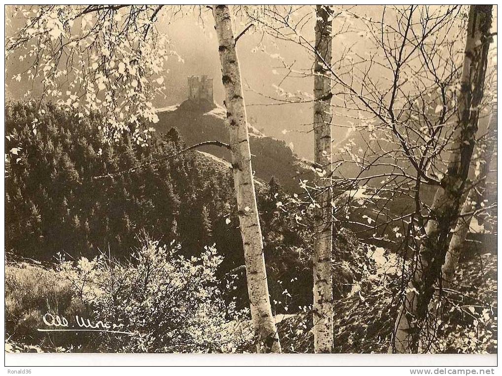 Cp ALBERT MONIER En Auvergne  ( CANTAL 15 ) Le Chateau D´alleuze Env De SAINT FLOUR Vue De La Forêt - Monier