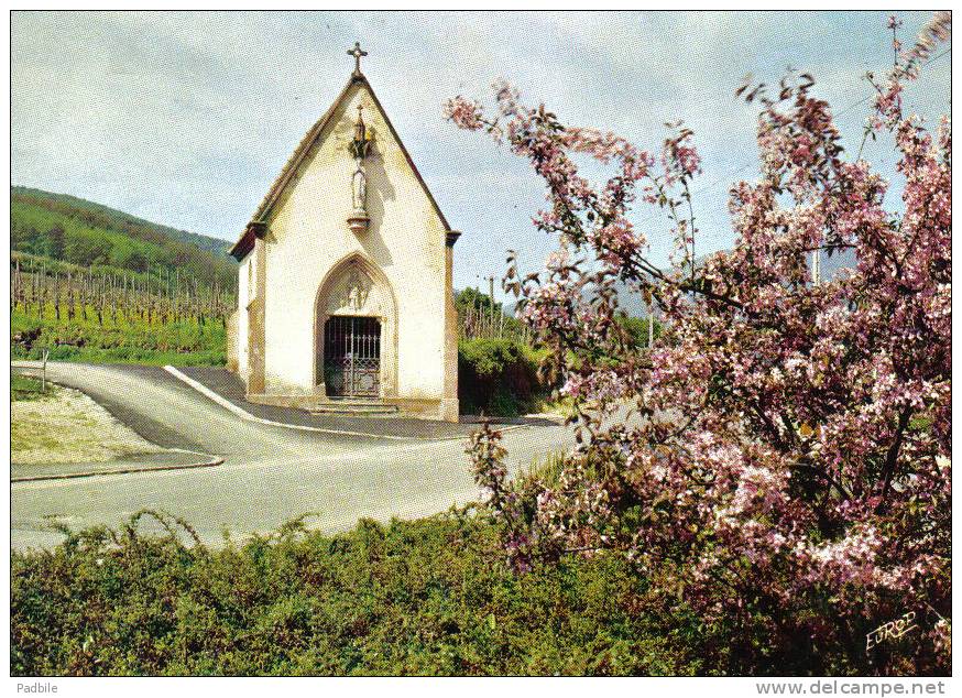 Carte Postale 68. Ammerschwihr  La Chapelle Trés Beau Plan - Autres & Non Classés