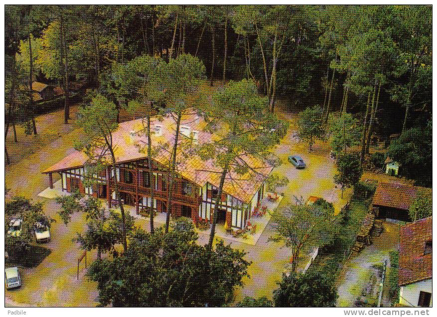 Carte Postale 40. Sabres  Hotel-Restaurant  Auberge Des Pins Trés Beau Plan - Sabres