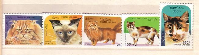 LAOS- 1985  CATS    5v.-MNH - Laos