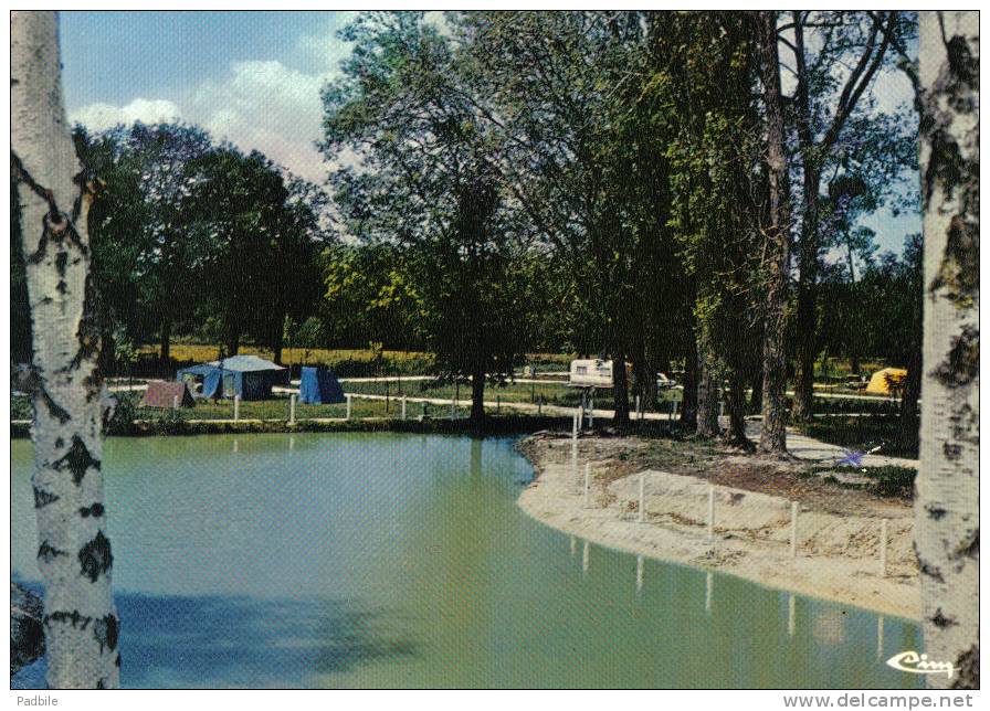 Carte Postale 17. Montendre-les-pins  Camping "La Forêt"   Trés Beau Plan - Montendre