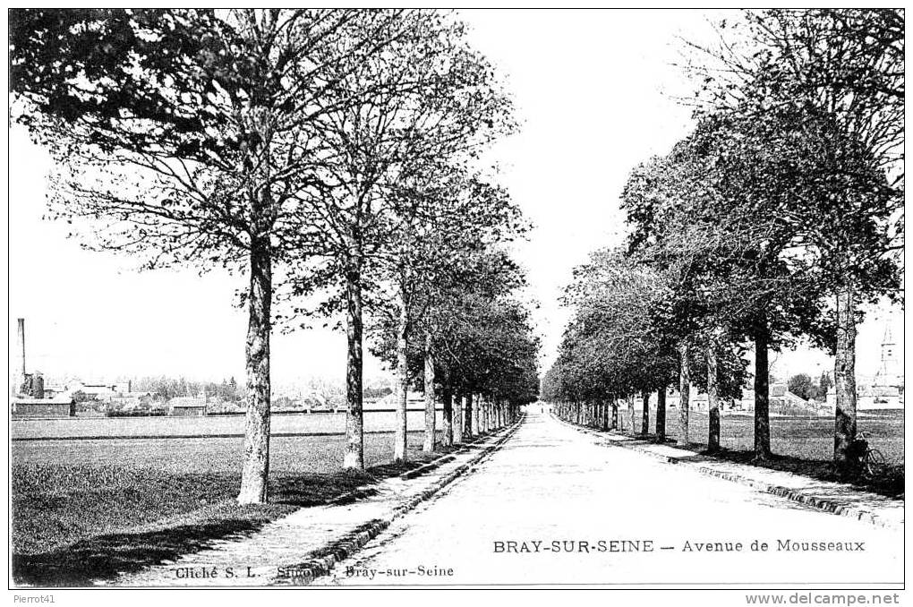 BRAY SUR SEINE - Avenue De Mousseaux - Bray Sur Seine