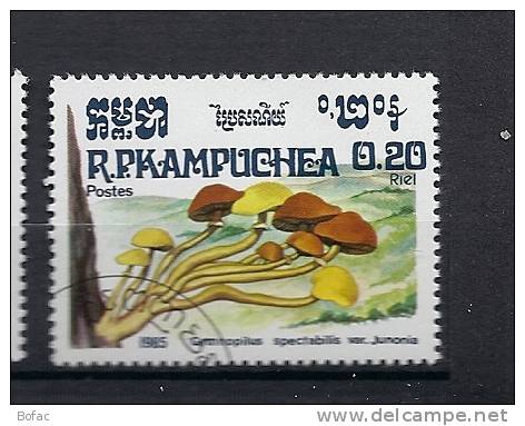 576  OBL  KAMPUCHEA  Y  &  T Champignons - Kampuchea