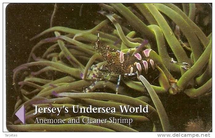 JER-165 TARJETA DE JERSEY DE UNDERSEA WORLD  (49JERD)   VIDA SUBMARINA - [ 7] Jersey Und Guernsey