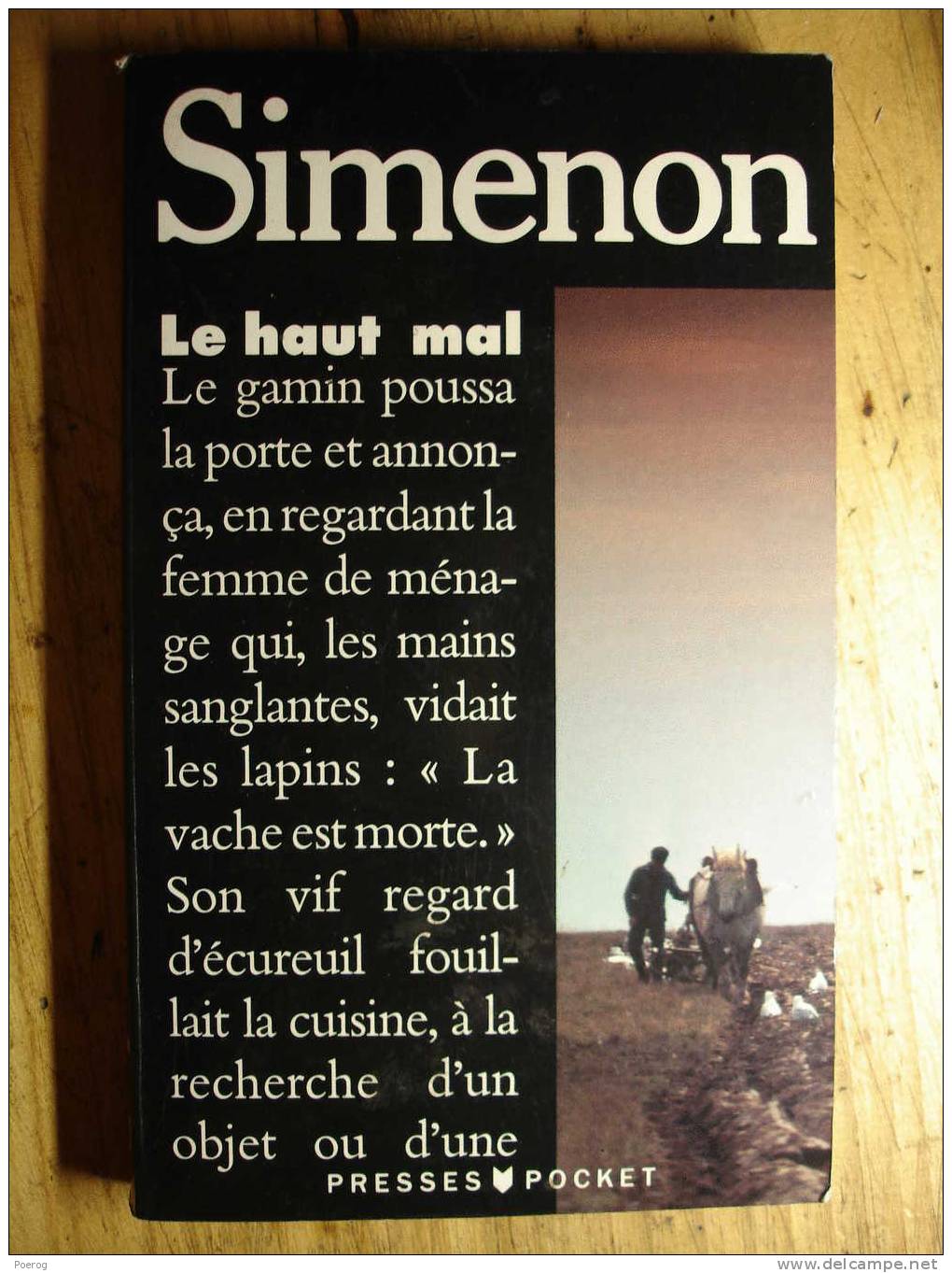 GEORGES SIMENON - LE HAUT MAL - PRESSES POCKET - FORMAT POCHE - Simenon