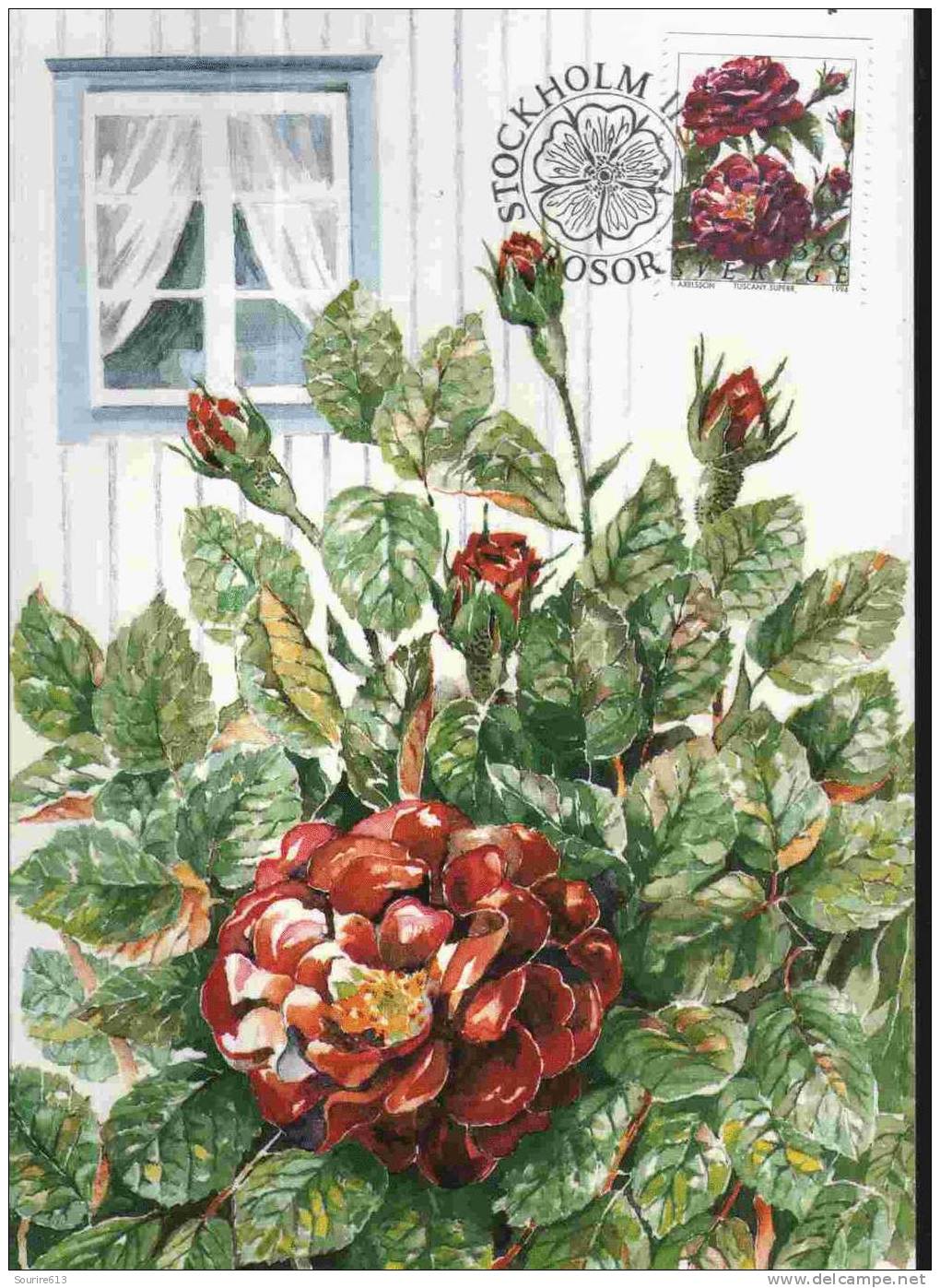 CPJ Suède 1994 Fleurs Roses Tuscany Superb - Rosen