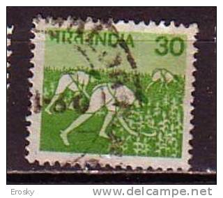 J3698 - INDE Yv N°595 - Used Stamps