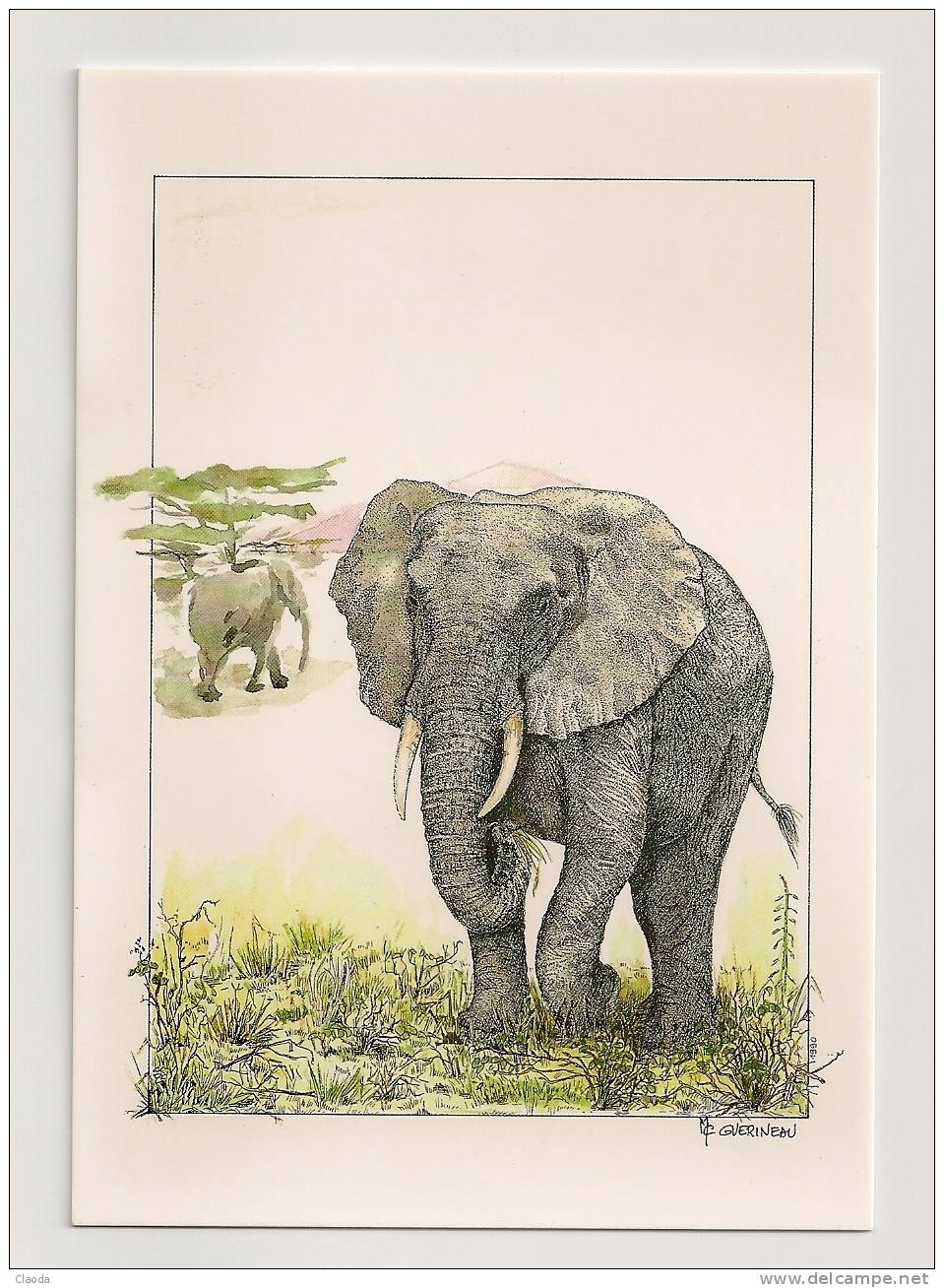 7317 ANIMAUX - ELEPHANT D'AFRIQUE - Elephants