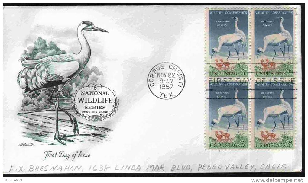 Fdc Usa 1957 Cigognes & échassiers Whooping Cranes Bloc 4 - Cigognes & échassiers