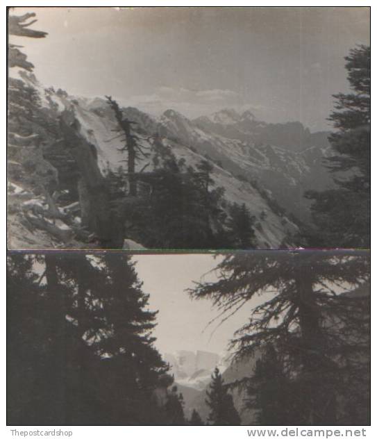 TWO REAL PHOTO CPA ALGIERS MOUNTAINS 1938 ALGIERS ALGER Algérie NORD AFRIQUE ALGERIA - Otros & Sin Clasificación