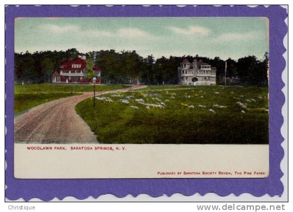 Woodlawn Park With Sheep, Saratoga Springs, NY.  1900s - Saratoga Springs