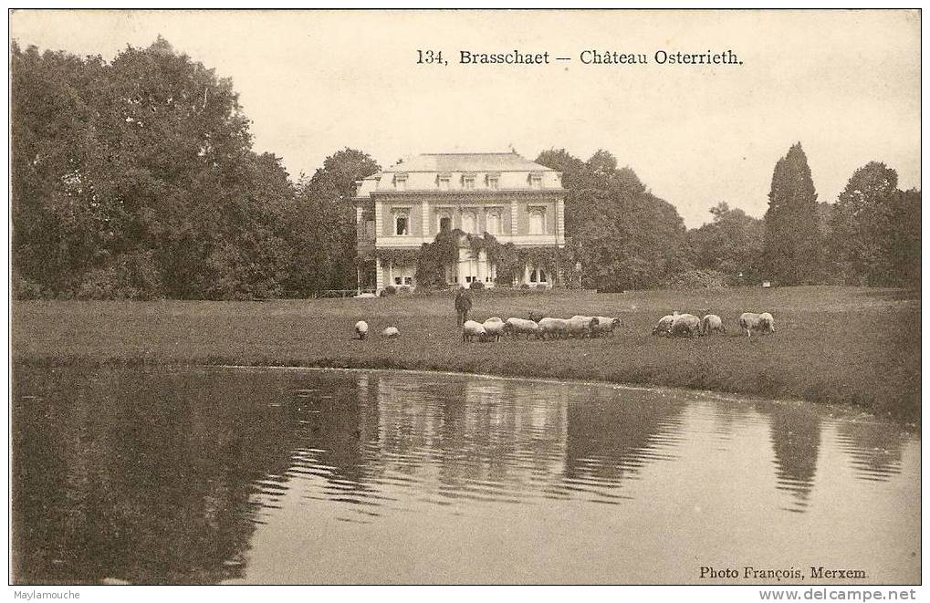 Brasschaet Brasschaat - Brasschaat