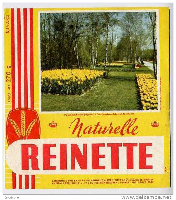 Buvard Biscottes REINETTE Parc De Keukenhoff Pays Bas - Tulipes Narcisses - Biscotti