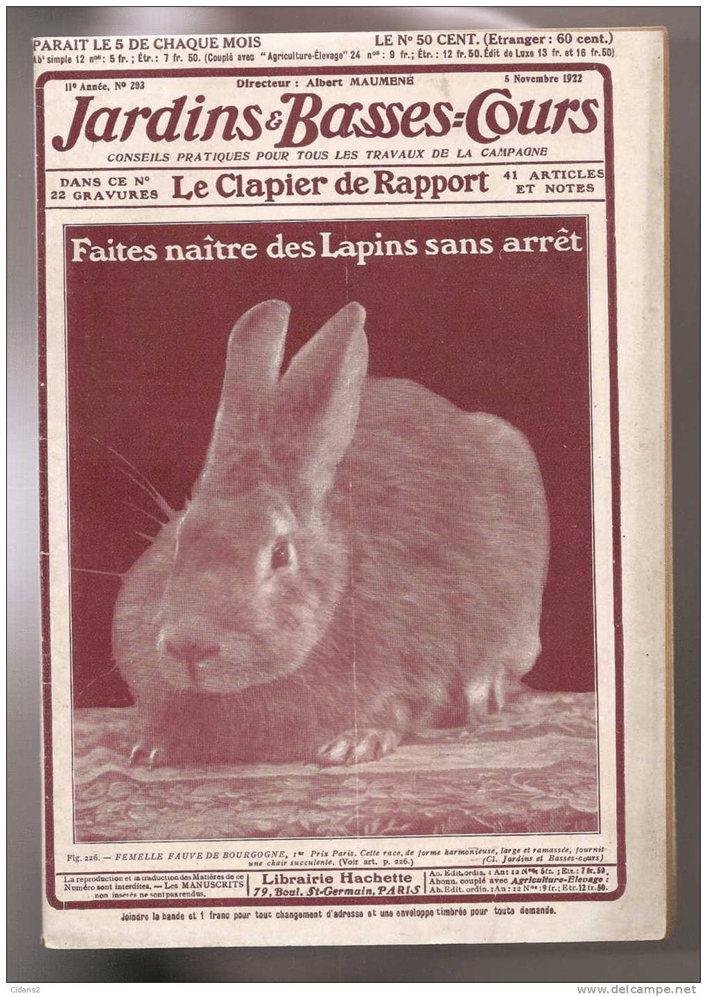 Revue "JARDINS Et BASSES-COURS" #203 (1922) CLAPIER De Rapport Lapin Poule Aviculture Basse Cour Elevage Agriculture ! - 1900 - 1949