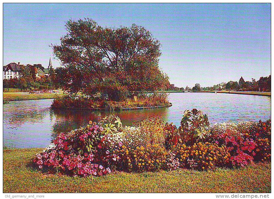 Weiher Im Maasgrund (079) - Oberursel